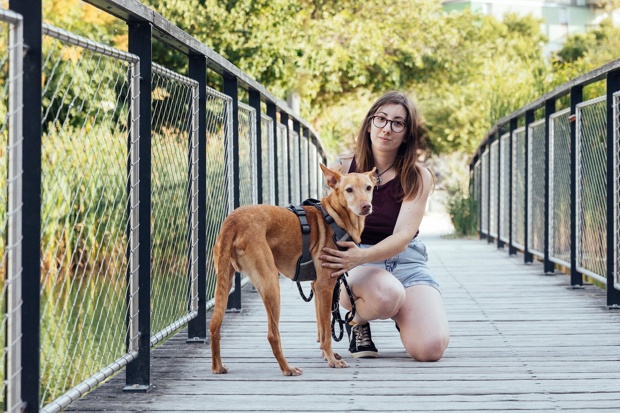 Autour de l'Être Animal - Chien, chat, NAC | TIMON Jennifer — photo