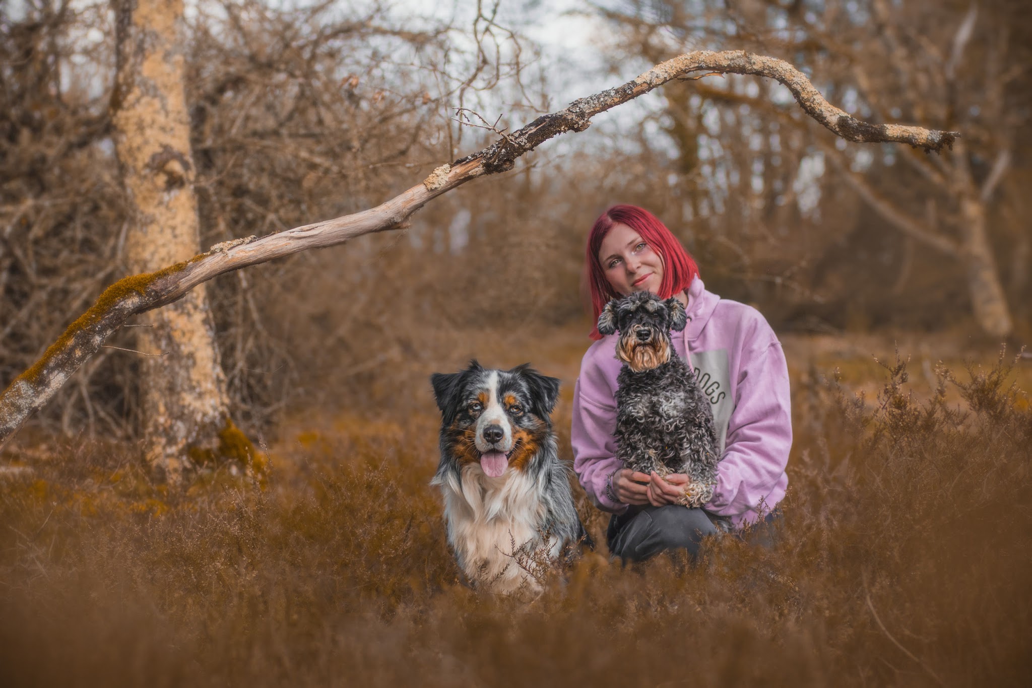 Candy's Dogs — photo