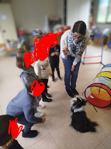 Compagnons de sens - médiation animale