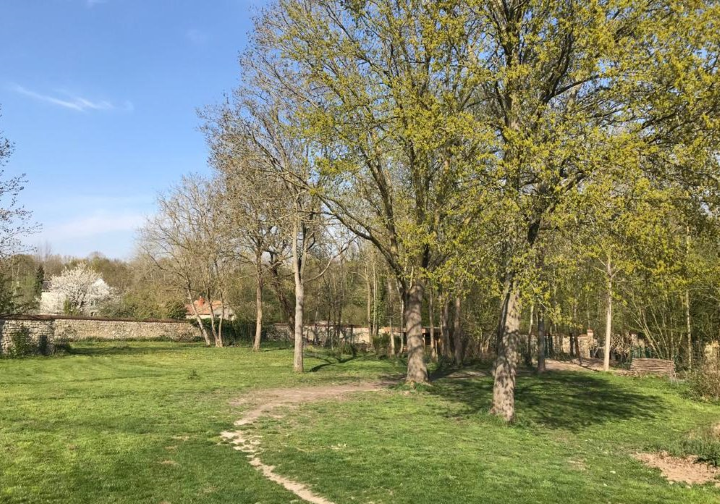 L'Ecole de Médor et Youki - Pension pour chien et Formation éducateur canin — photo