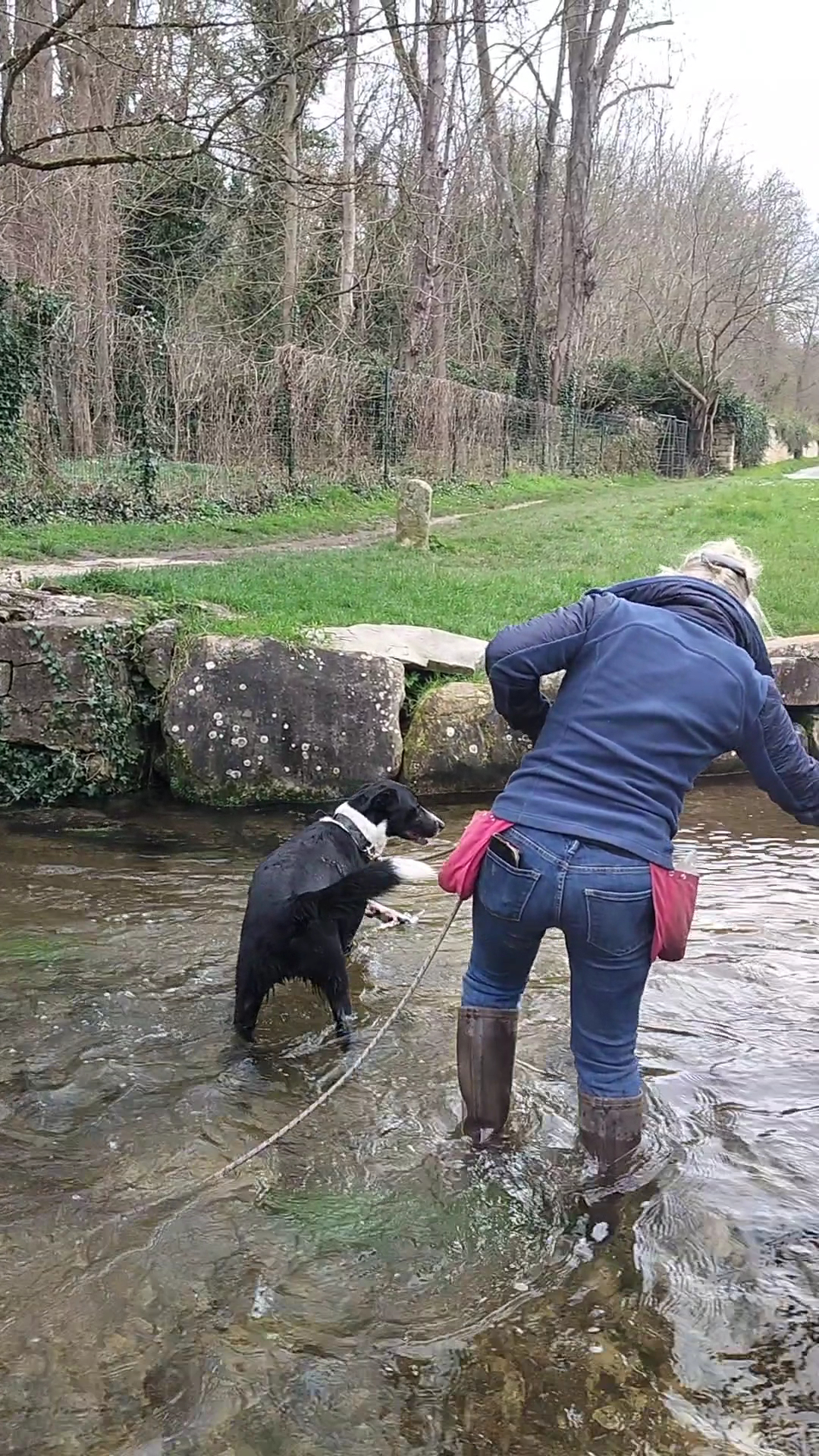 L'Ecole de Médor et Youki - Pension pour chien et Formation éducateur canin — photo