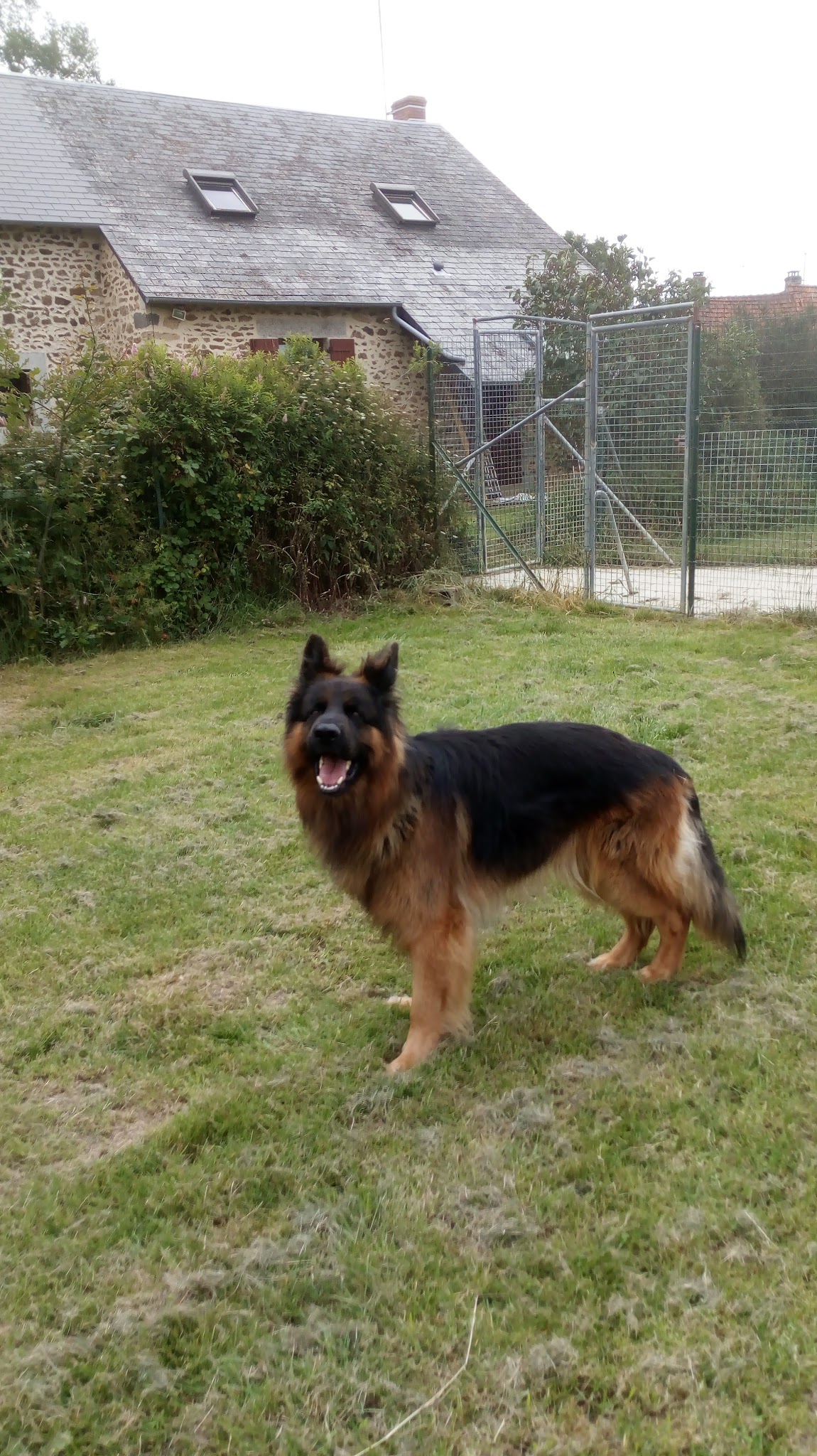 la chataigneraie de bel air — photo