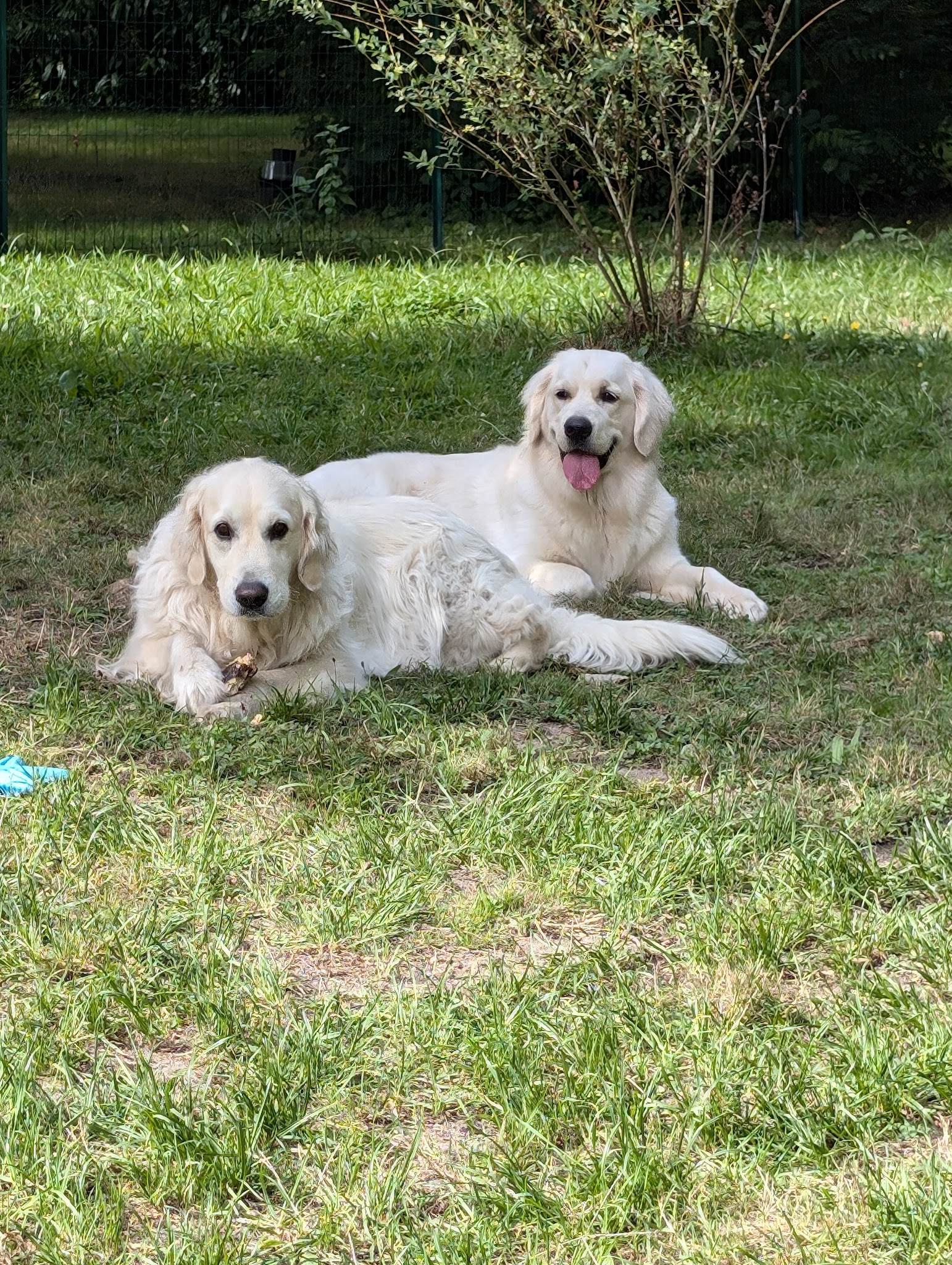Le Domaine d'Arya - Sologne Pet Resort — photo