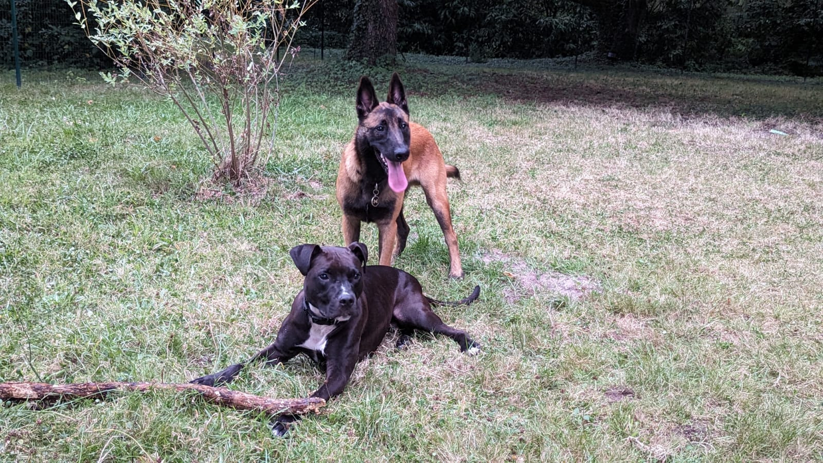 Le Domaine d'Arya - Sologne Pet Resort — photo