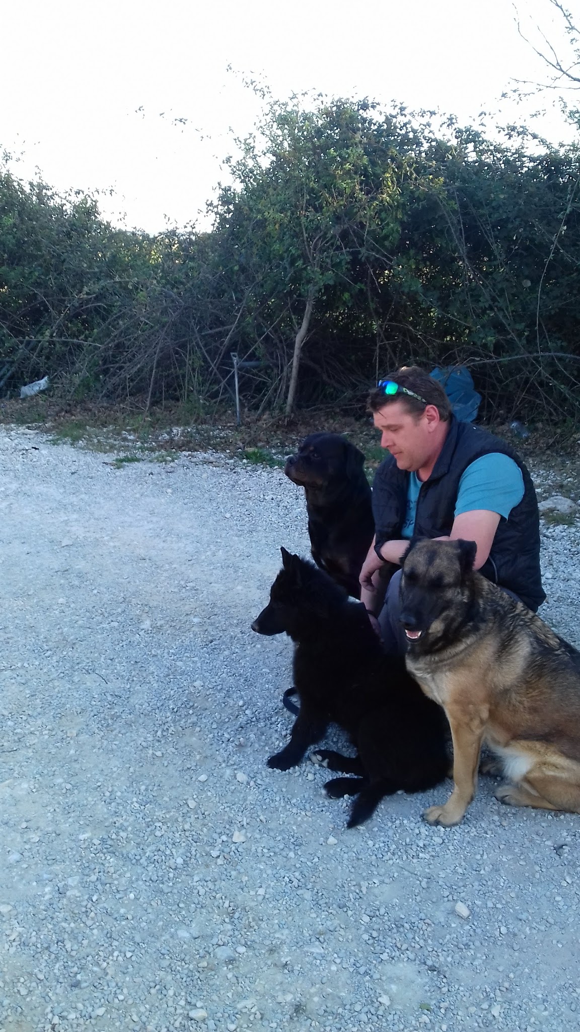 Centre Canin du Puech Coucou — photo
