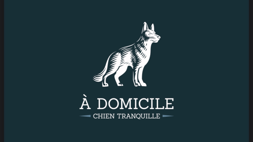 À Domicile Chien tranquille — photo