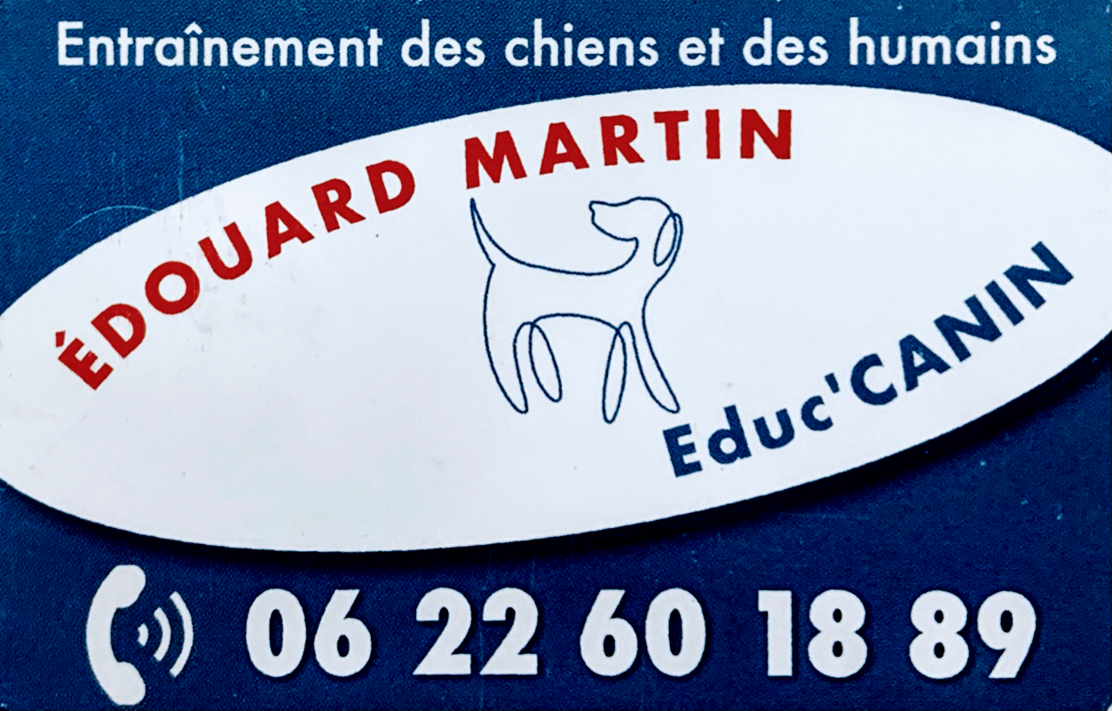 À Domicile Chien tranquille — photo
