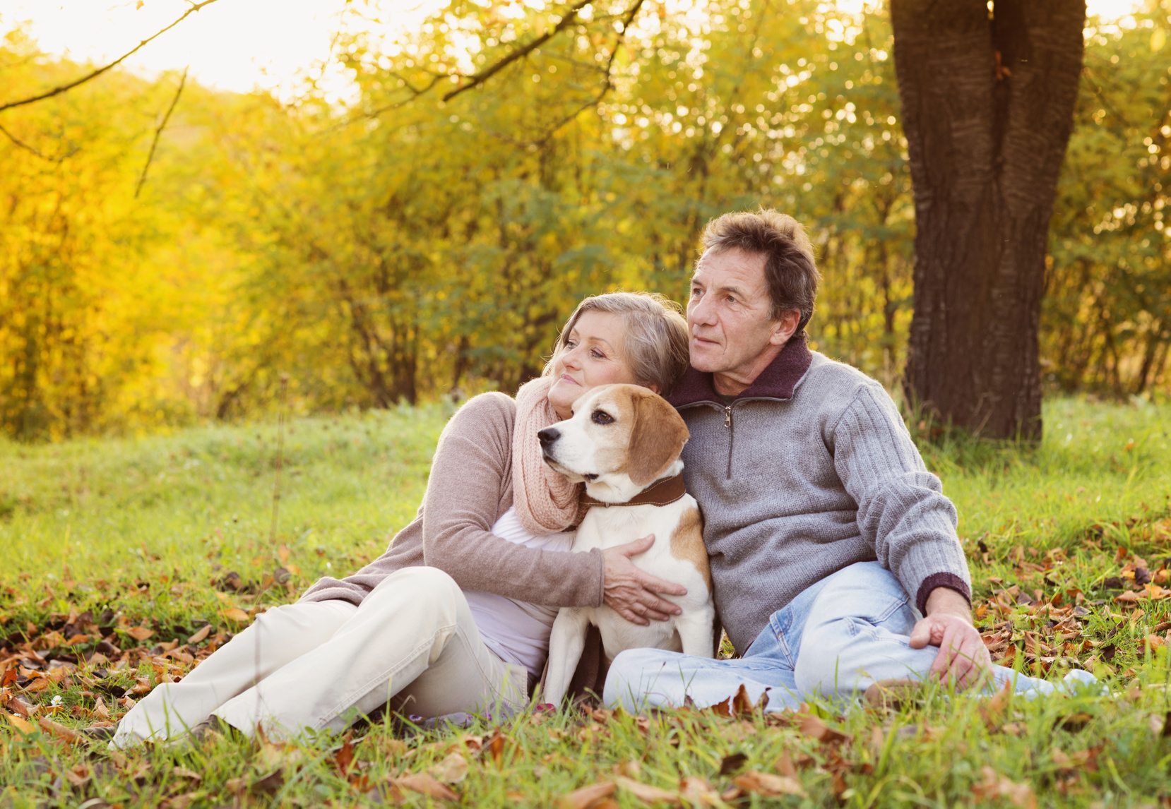Ani Seniors Services — photo