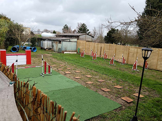 Rocky's Academy - Centre de loisirs canin, éducation et comportement du chien et services animaliers — photo