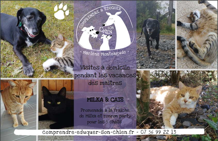 Éducateur Comportementaliste CANIN Marlène Monteagudo — photo