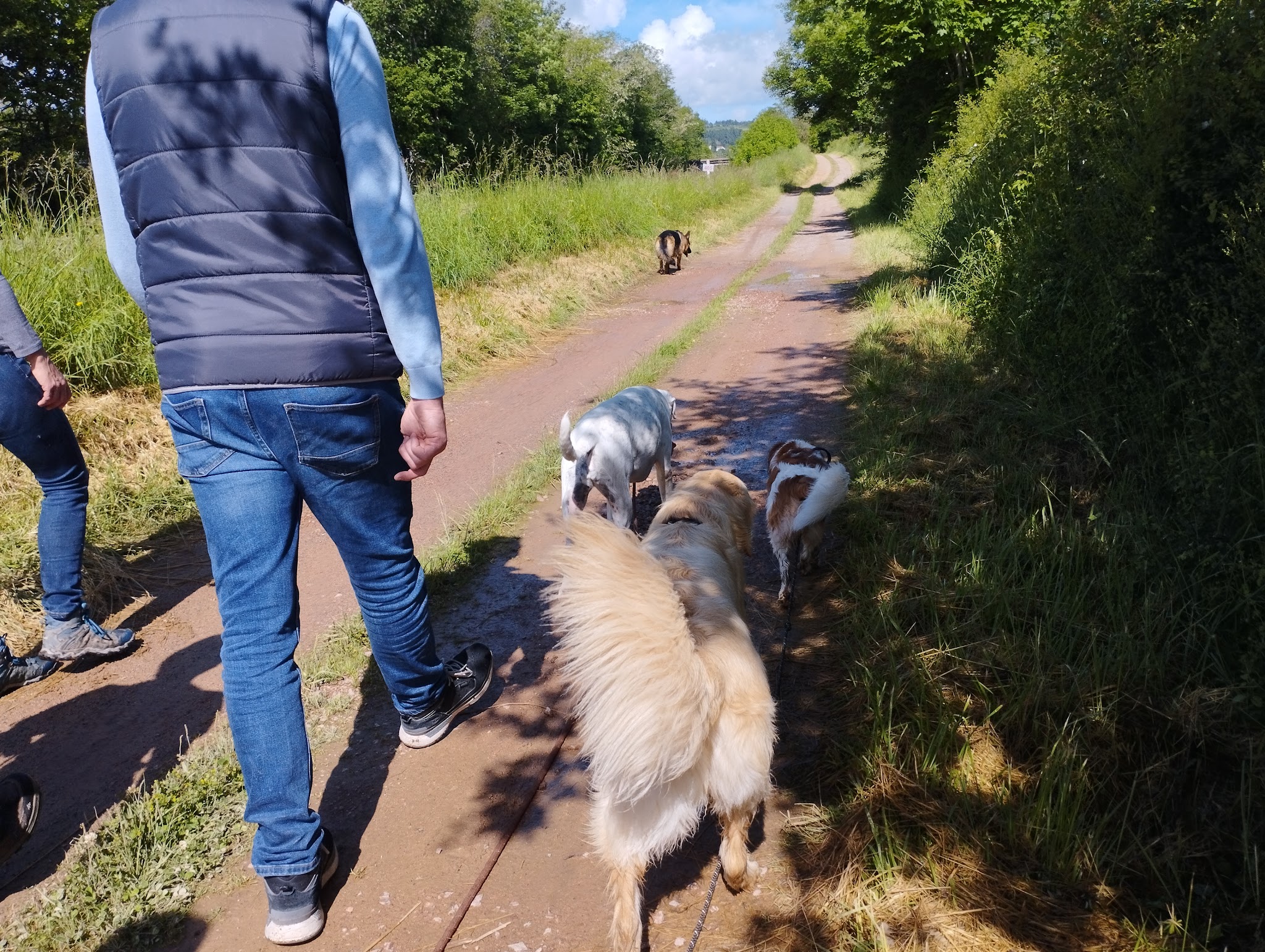Éducateur Comportementaliste CANIN Marlène Monteagudo — photo