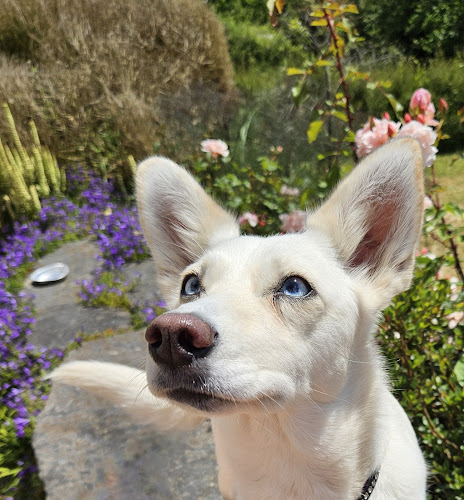 Cath & Cie - coach, balade et garde d'animaux