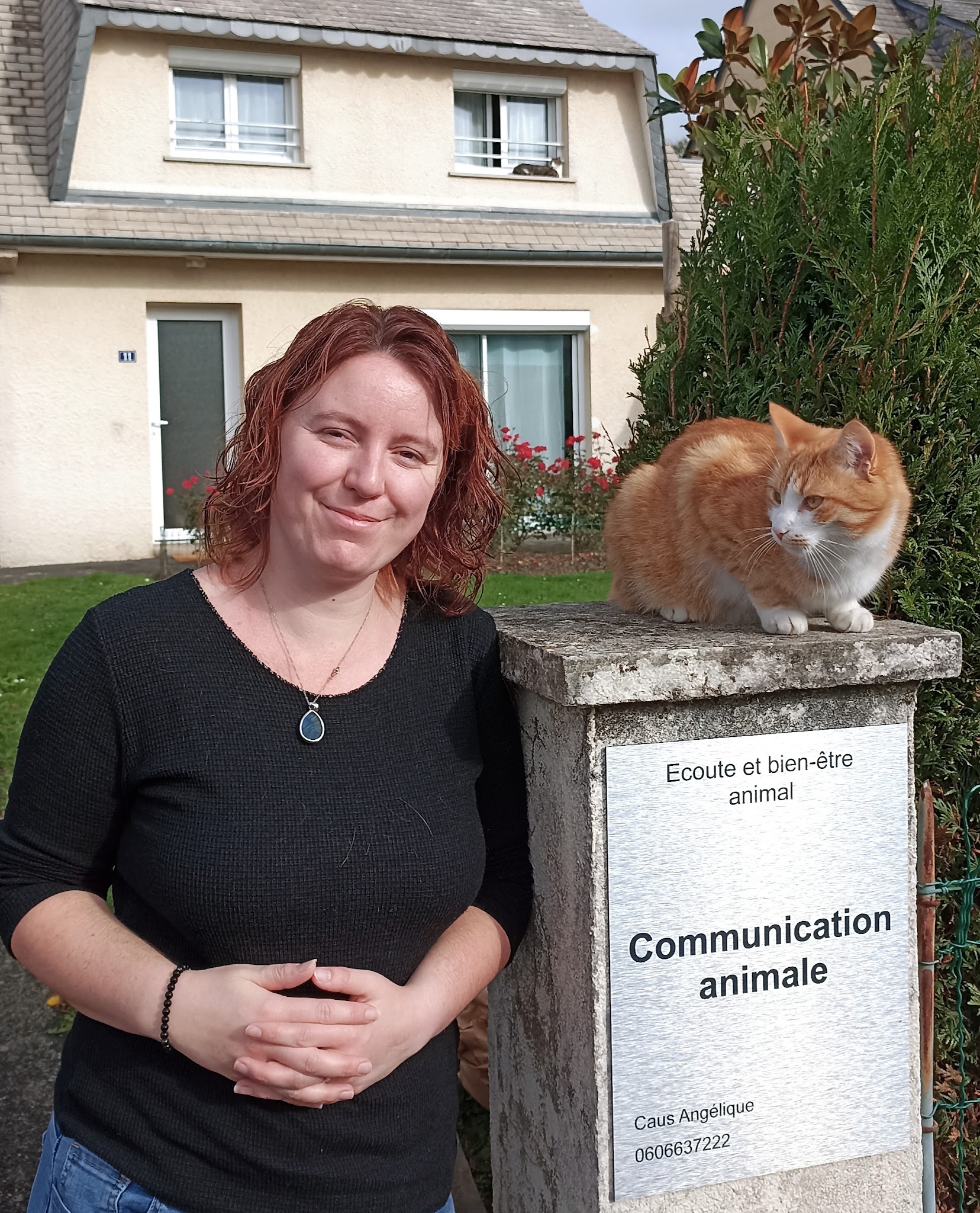 Écoute et bien-être animal /Communication animale — photo
