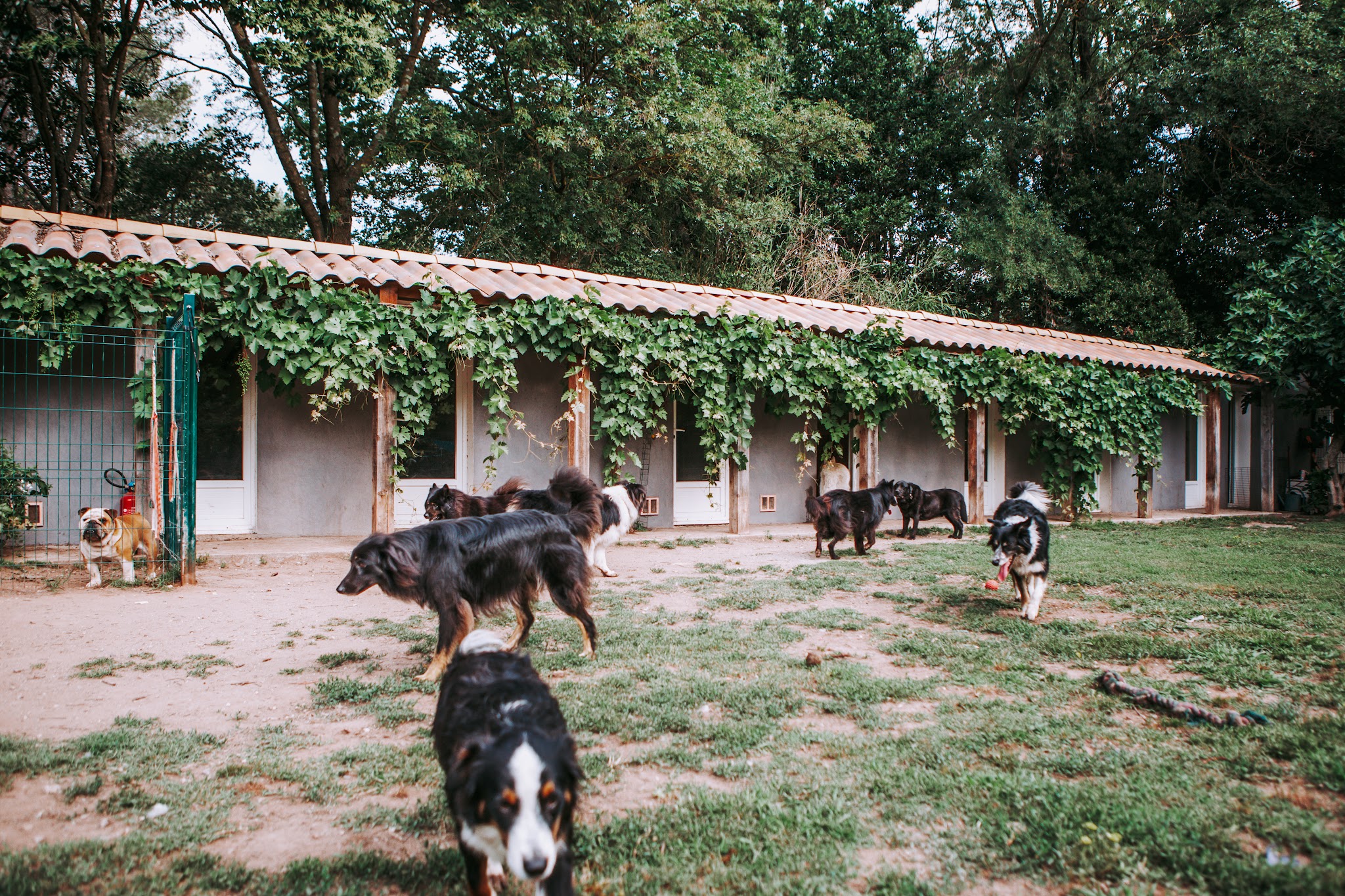 Les Fripouilles du Rocher — photo