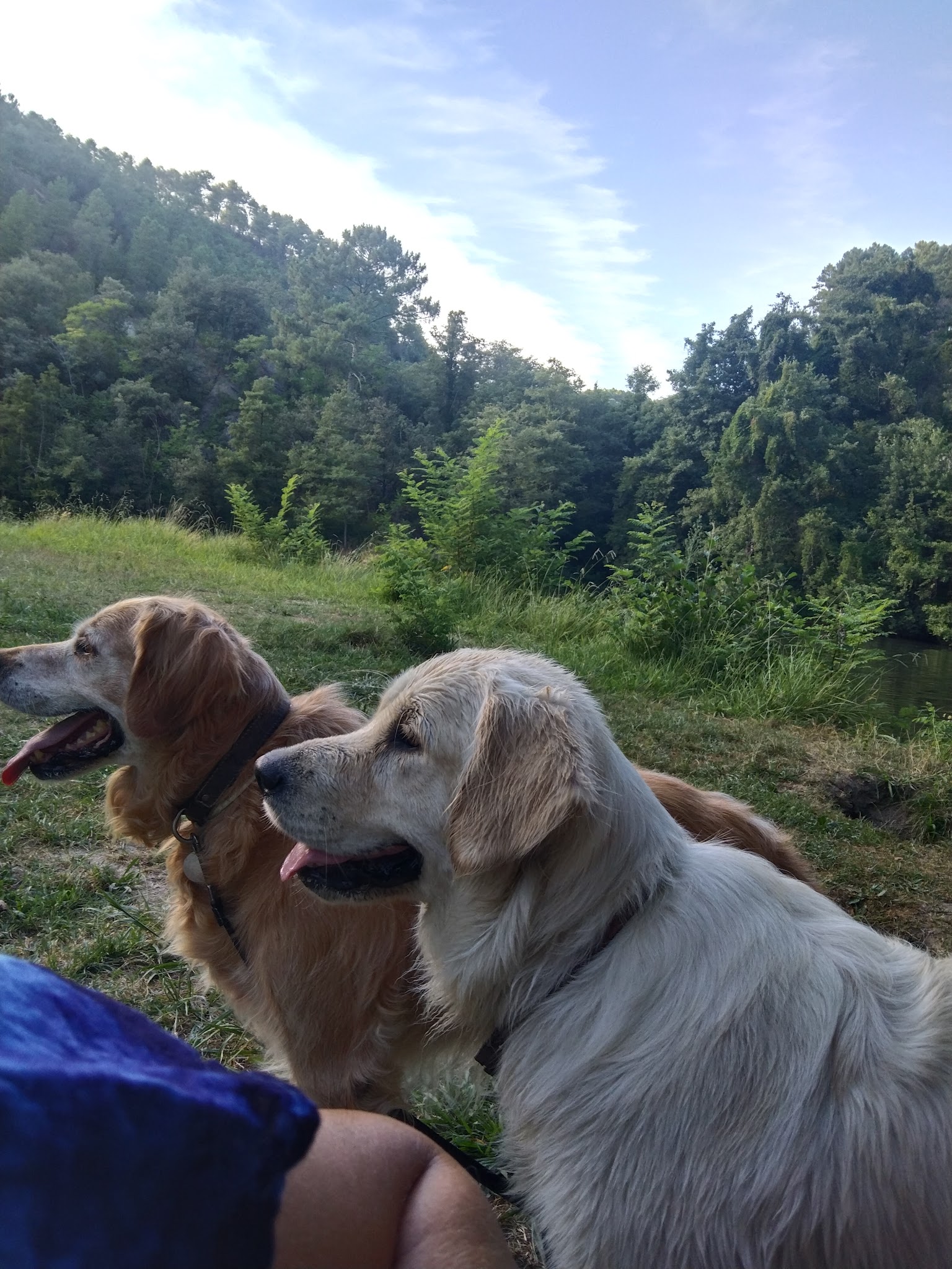 Pension canine familiale d'Aurélie — photo