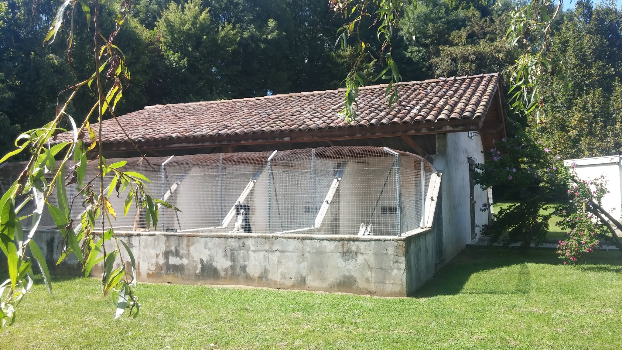 Aux Vacances Canines — photo