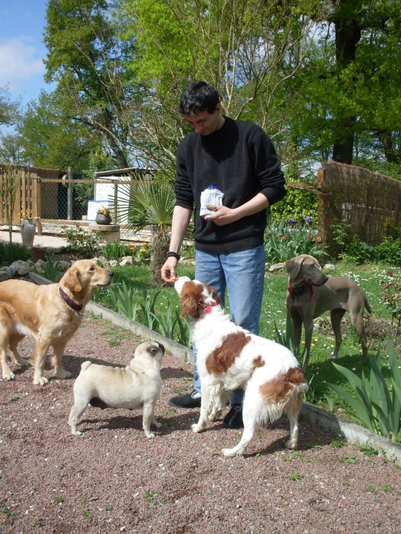 Pension canine de la villa Luna du bois d'Alex — photo