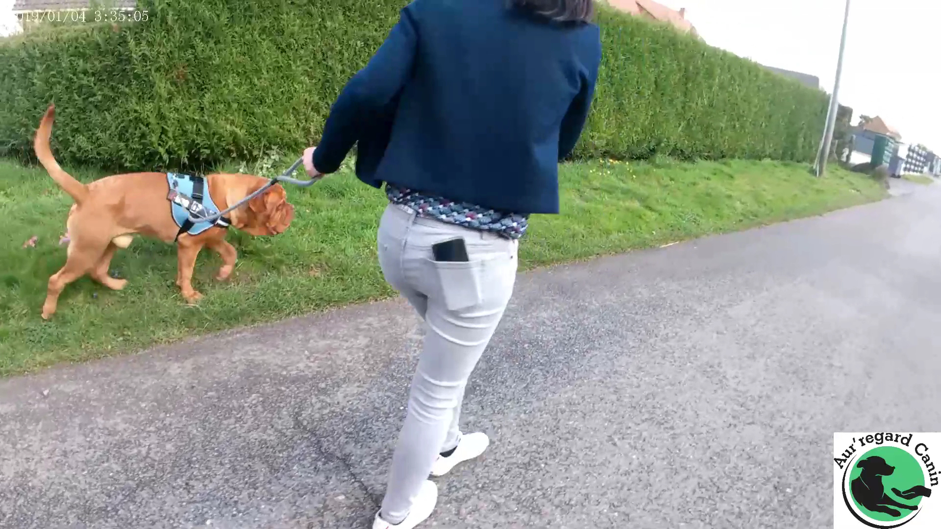 Aur'regard Canin Éducateur comportementaliste canin — photo