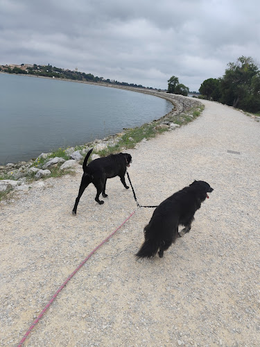 Caro, Canin & Co