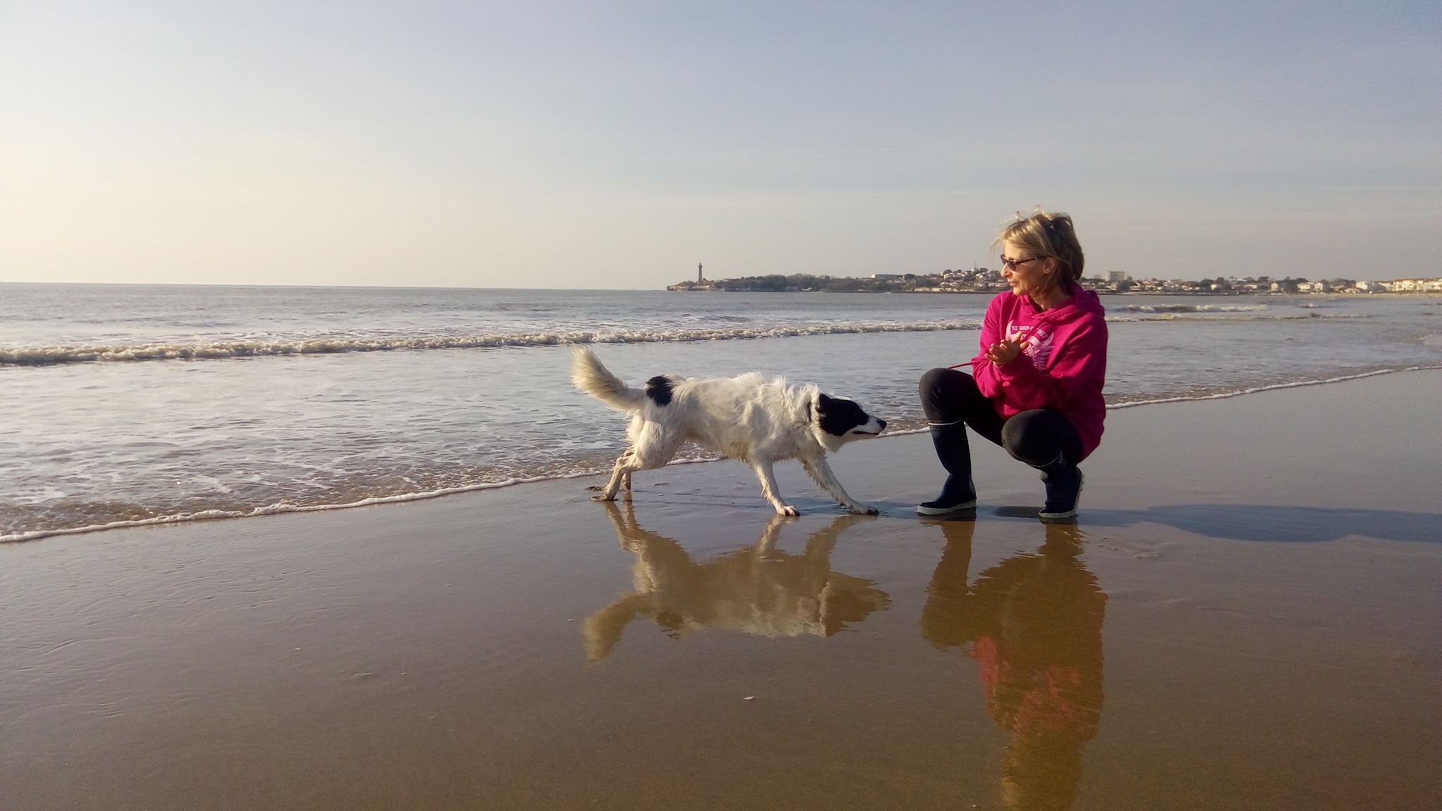 Brunet Services Animaliers E.I. — photo