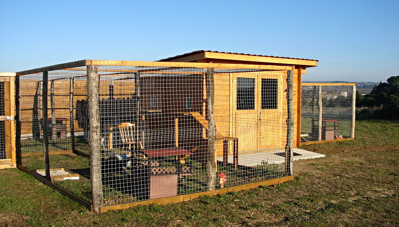 CR 129 — photo