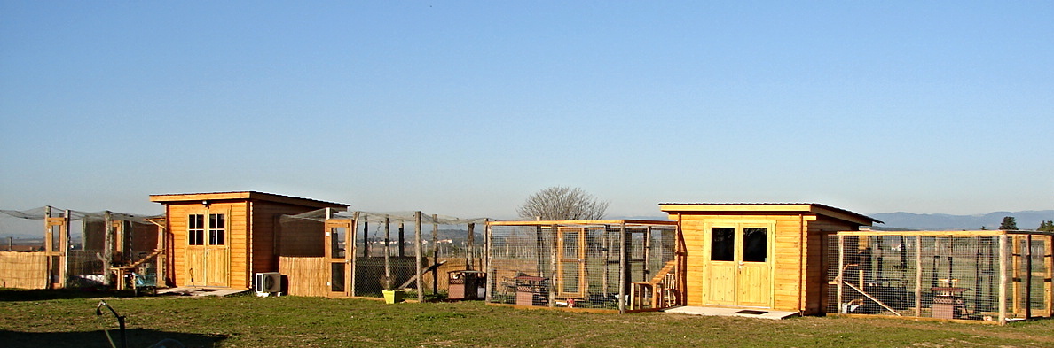 CR 129 — photo