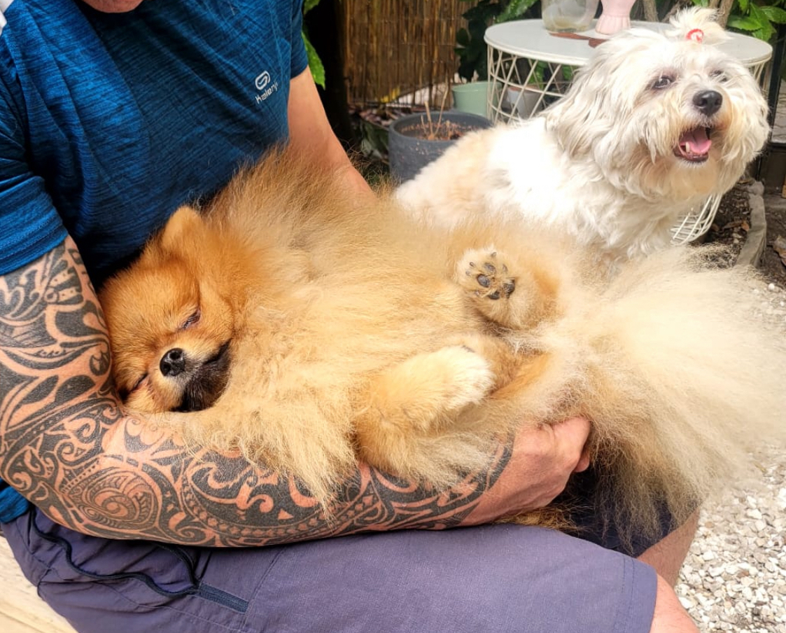 Pet Cheri — photo