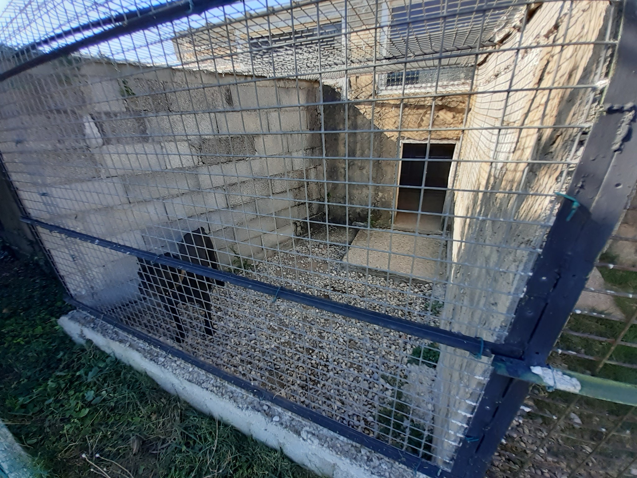 Pension Canine des Andran — photo