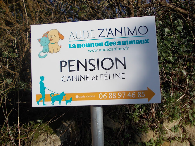 Aude z'animo