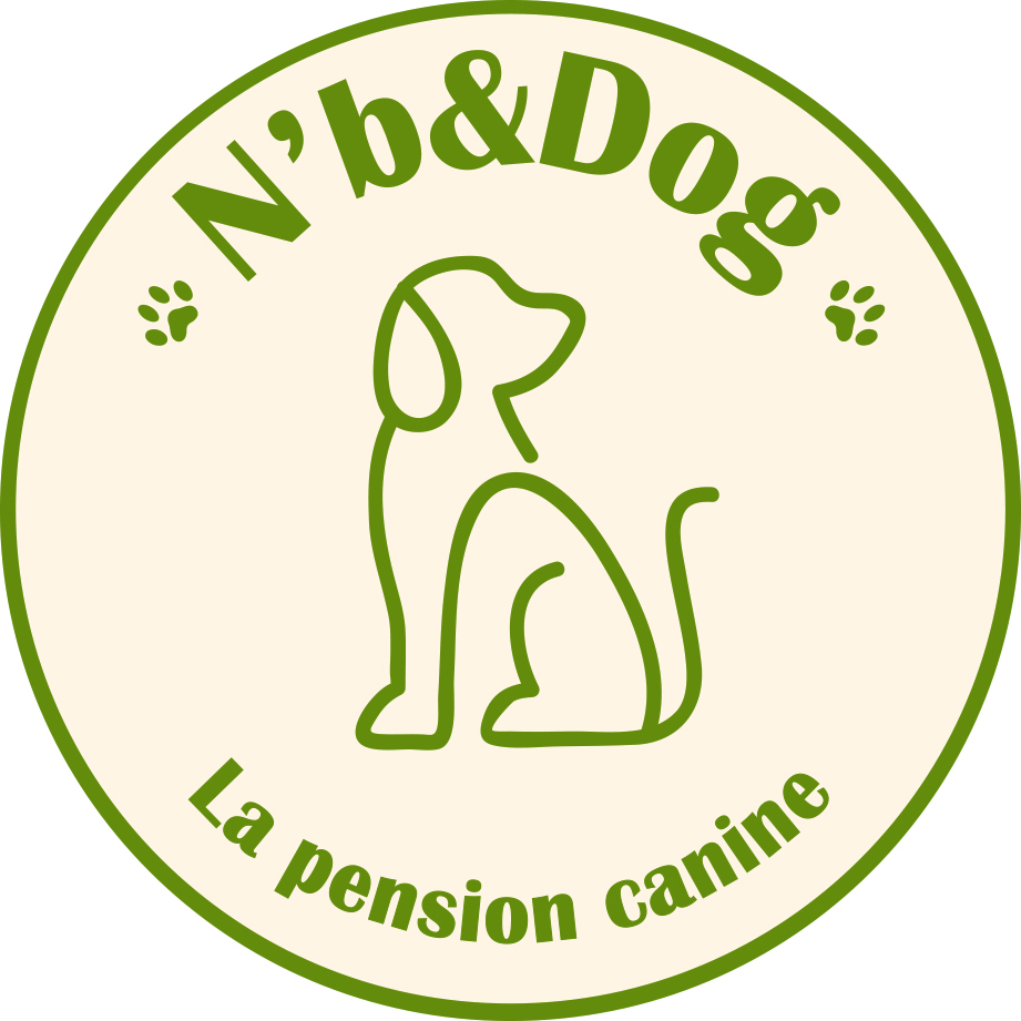N'b&Dog — photo