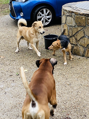 Nos Animaux Tarnais