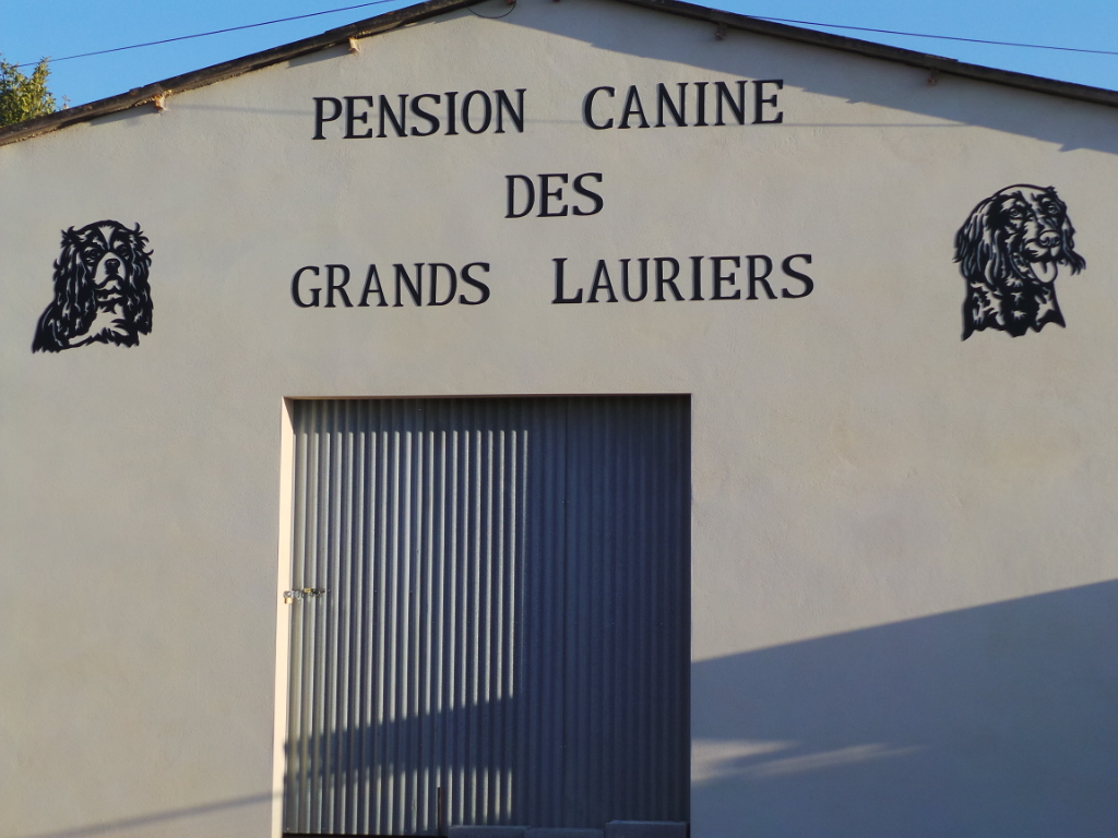 Pension Canine et Féline des Grands Lauriers — photo