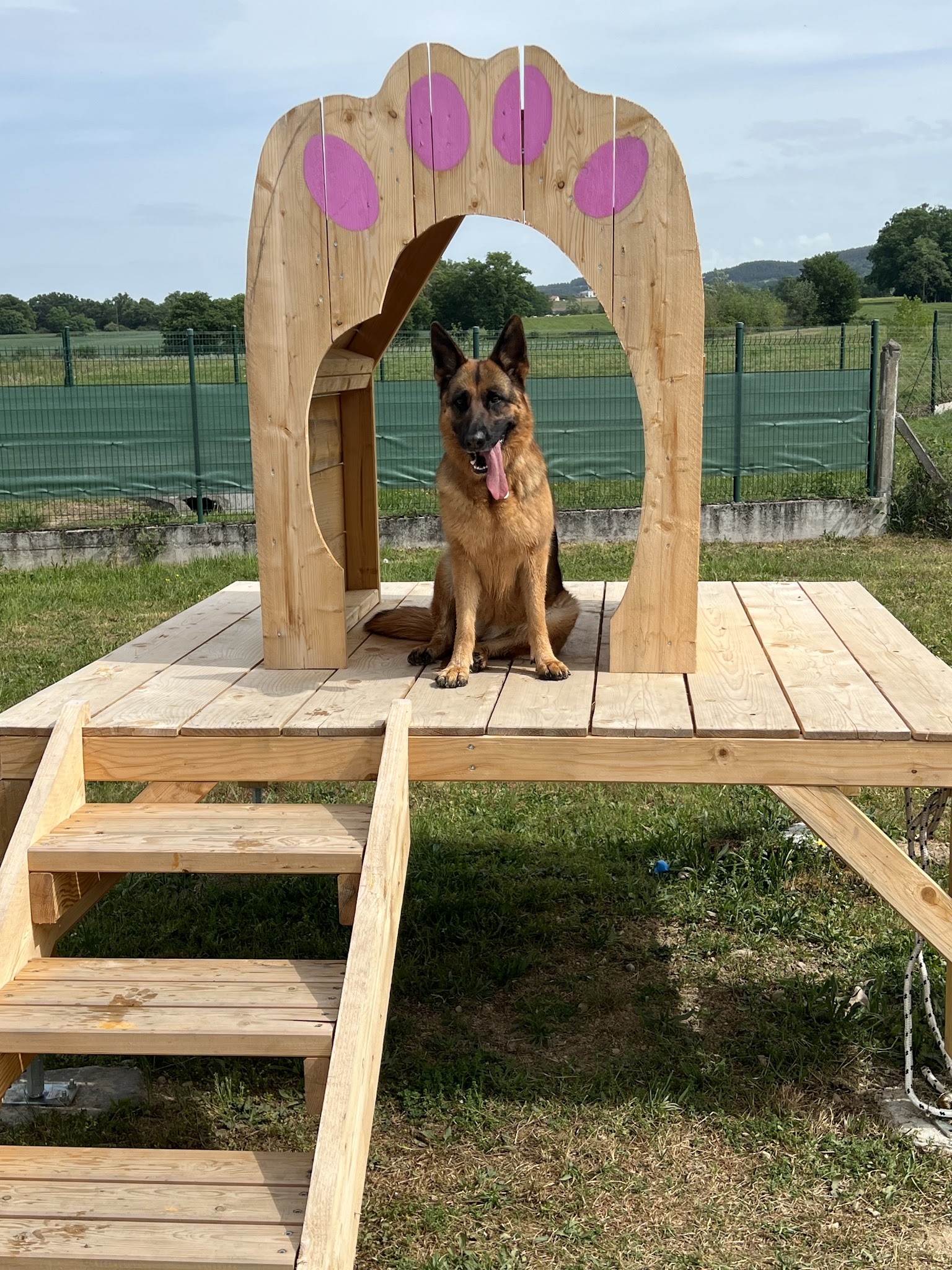 Les Dogos — photo
