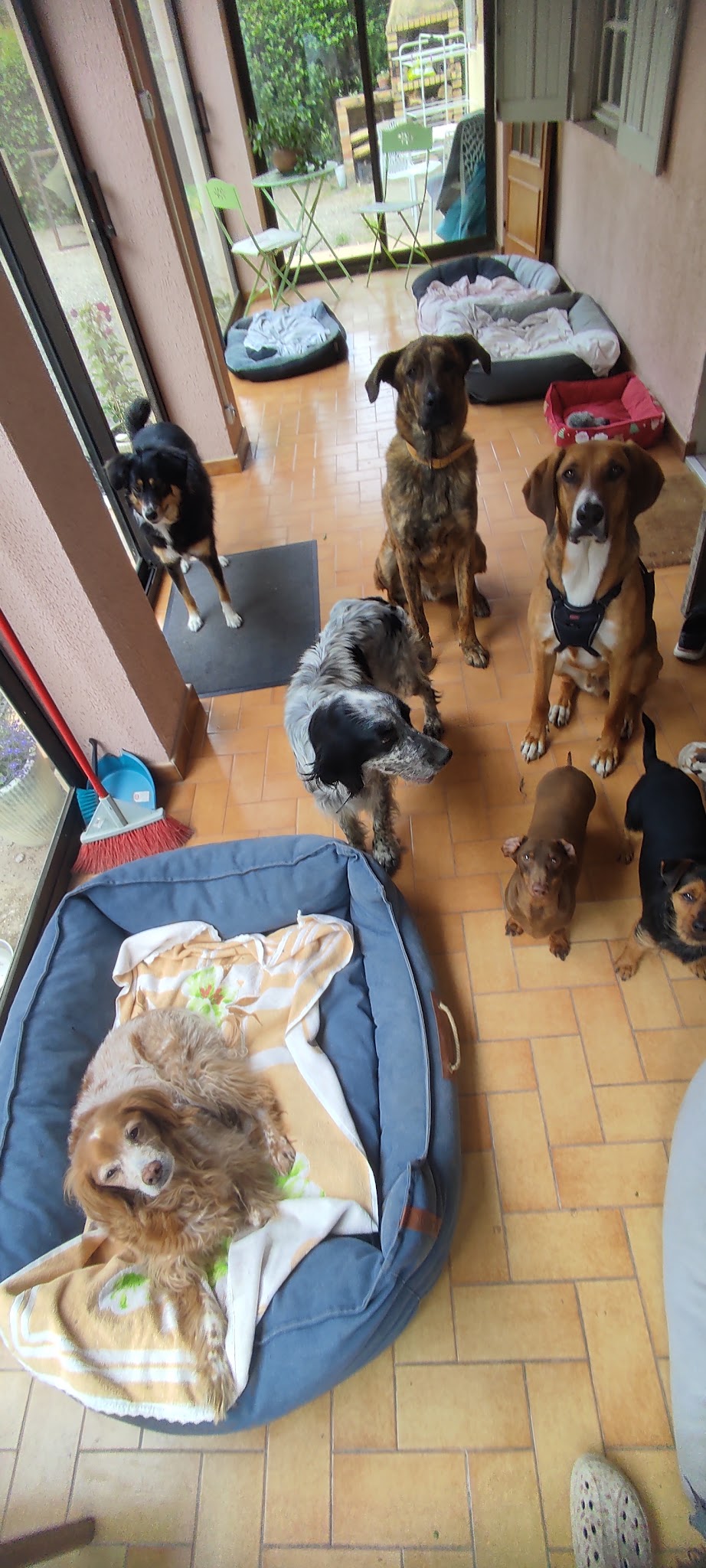 Ô Gré des Animaux