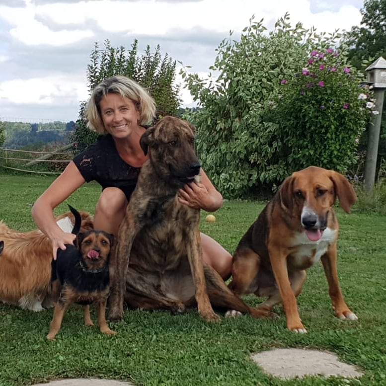 Ô Gré des Animaux — photo