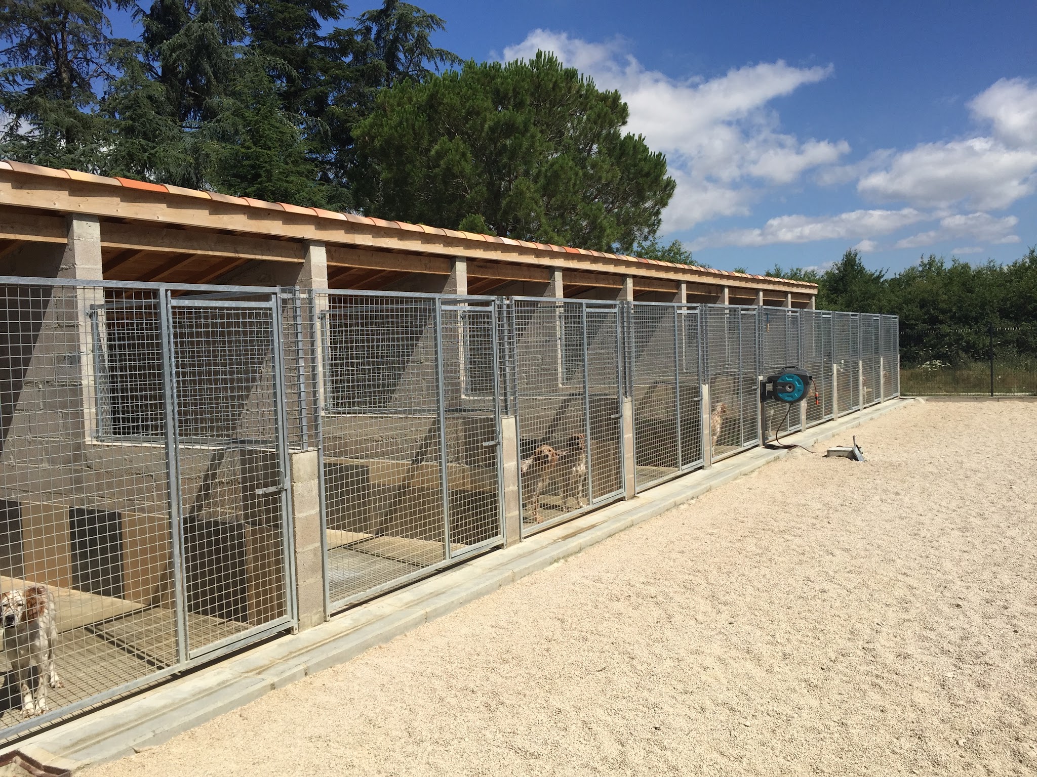 Centre canin des Belles du Causse — photo