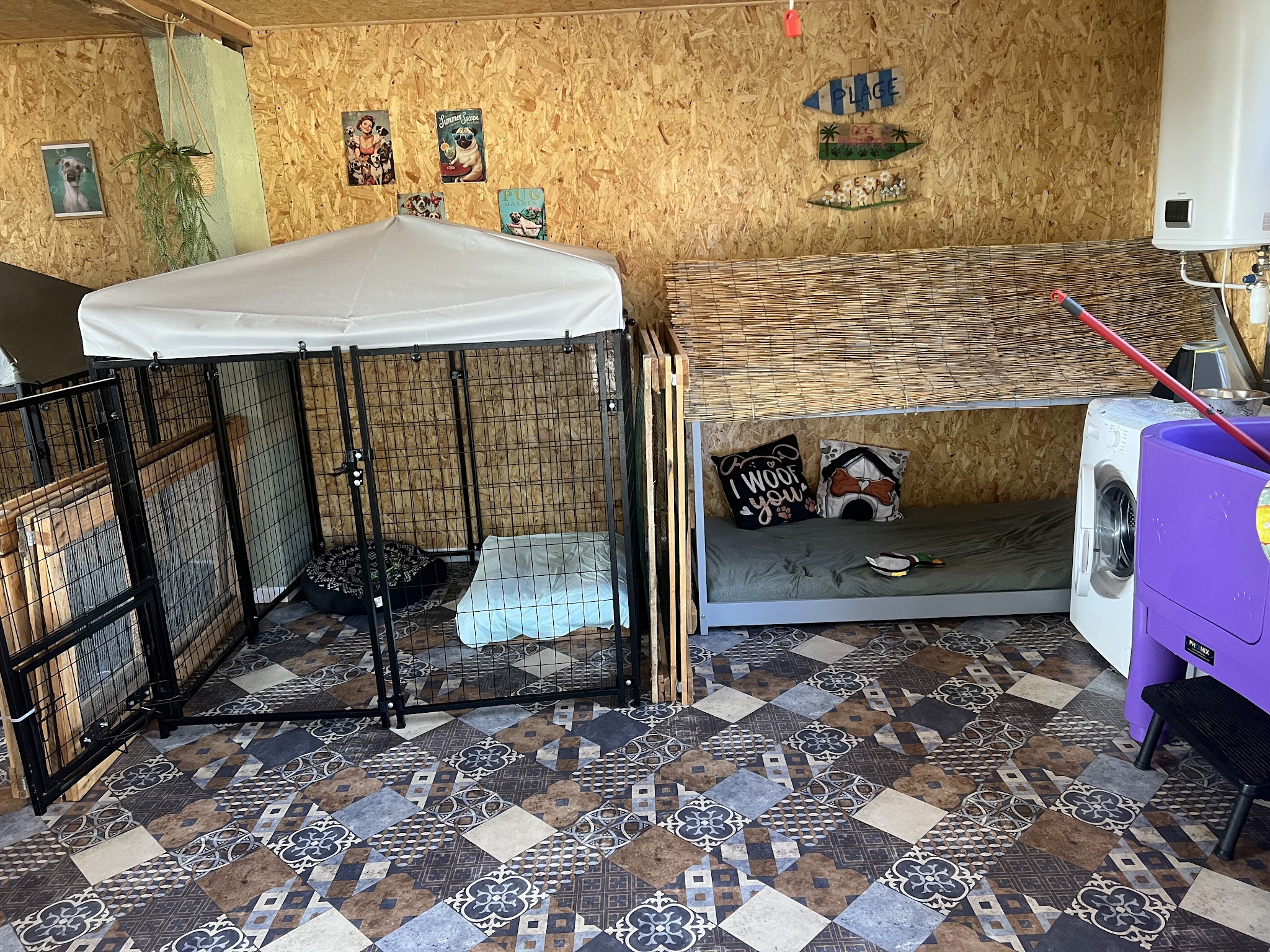 Dog Paradise — photo