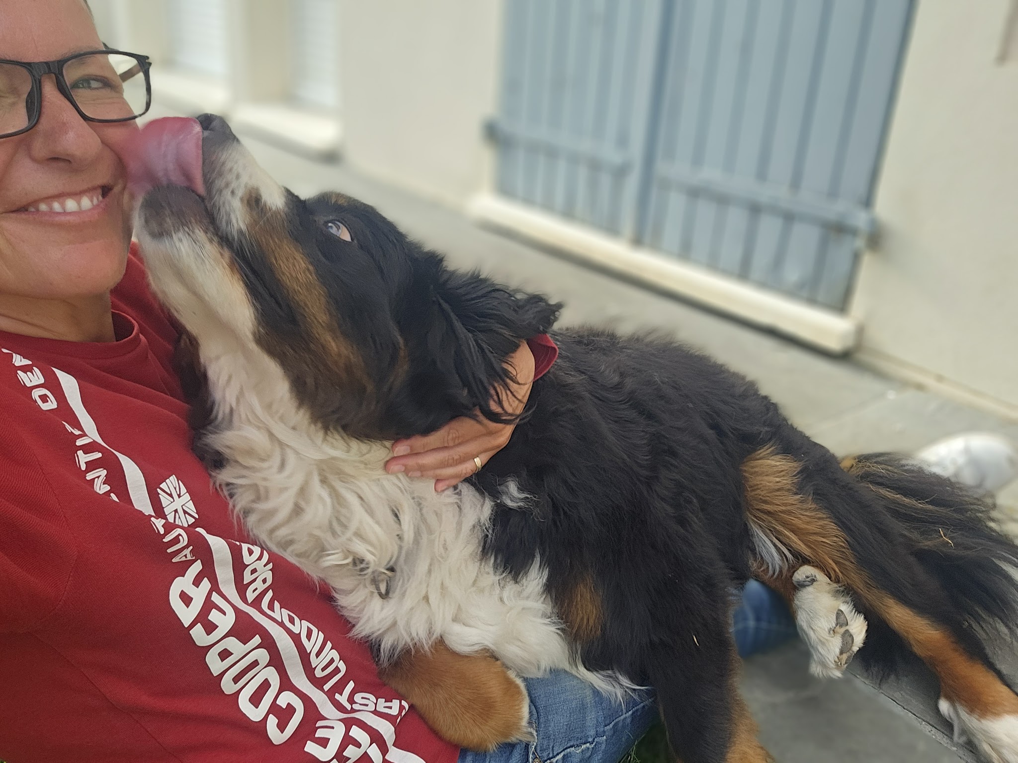 Doggycat Compagnie — photo