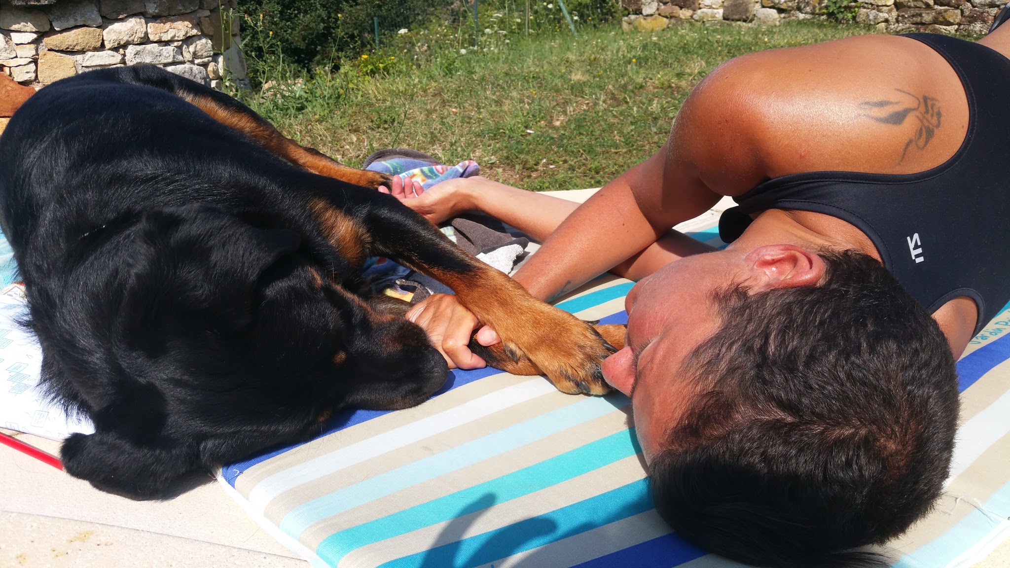 Doggycat Compagnie