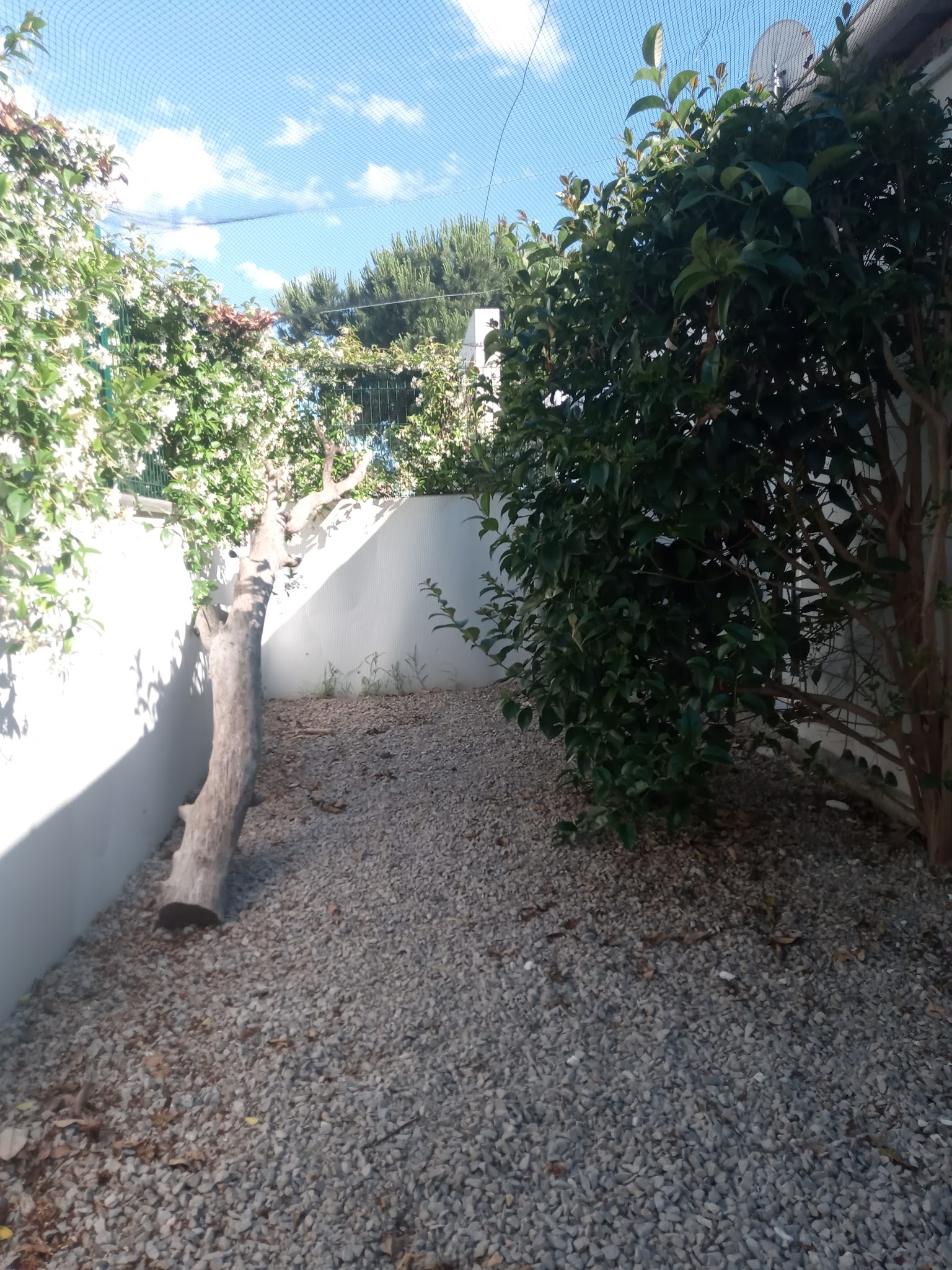 Pension canine et féline De Mudaison — photo