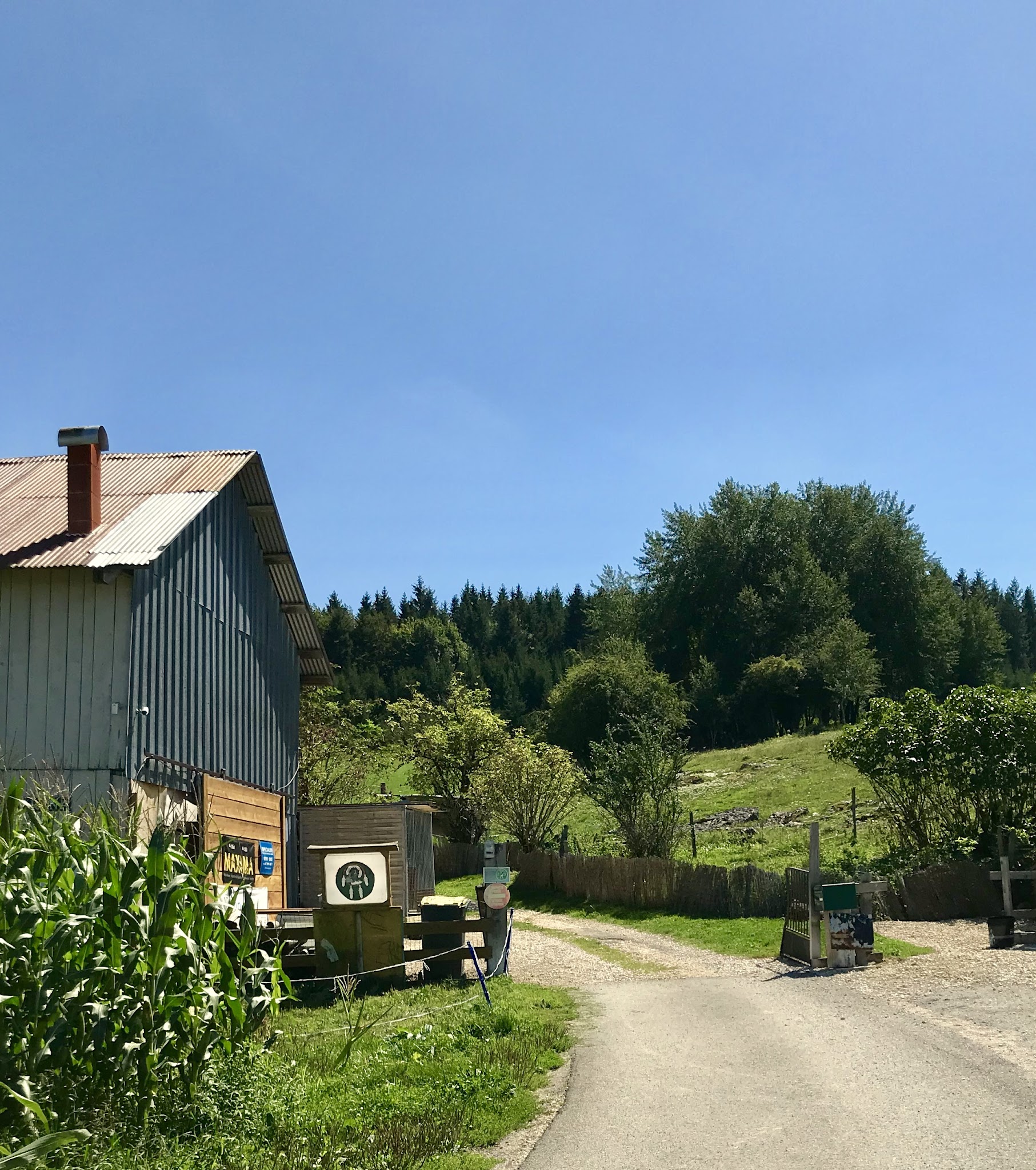 Les nordiques de la ferme sur la roche
