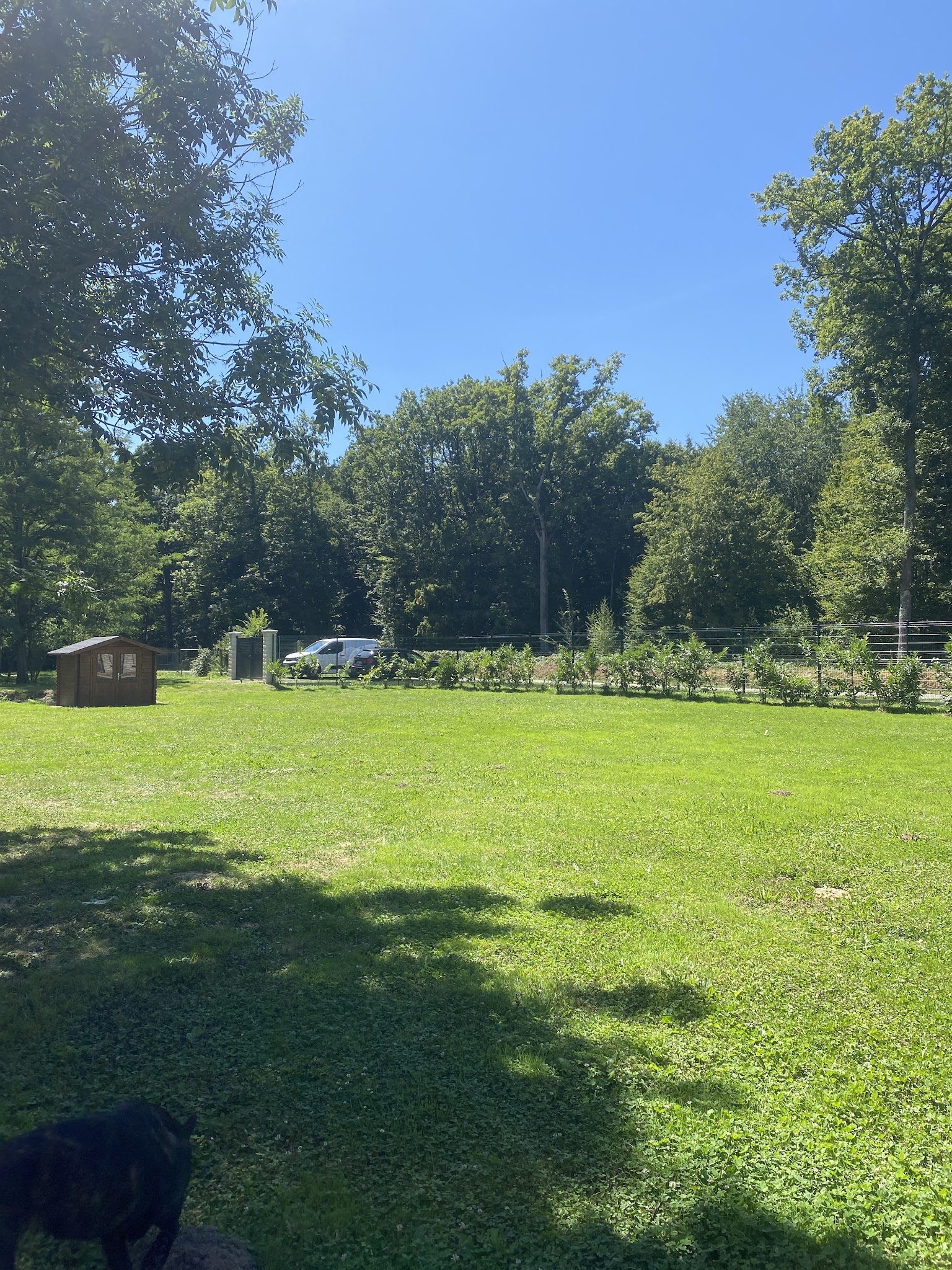 Auberge des gateliers pension canine — photo