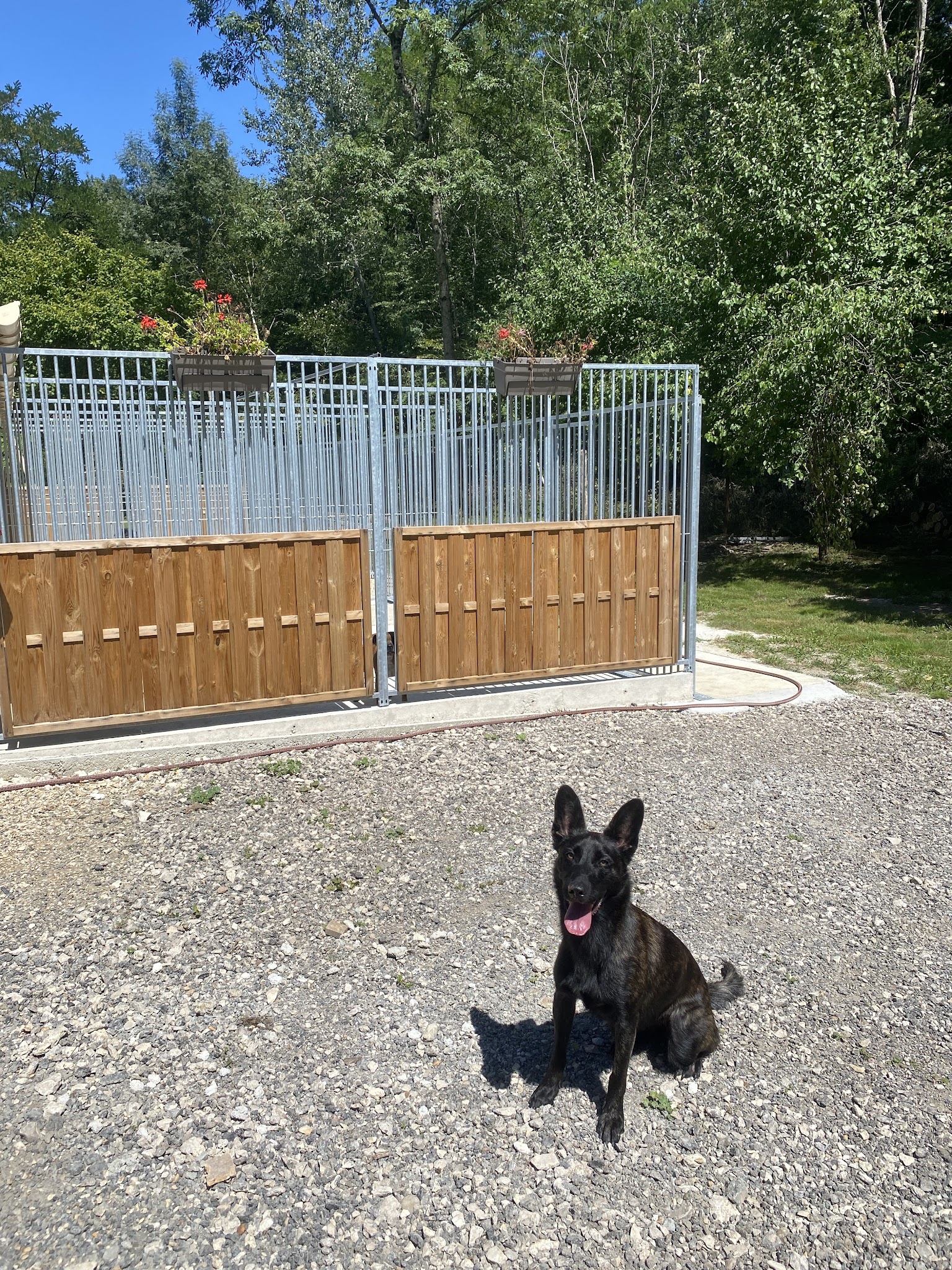 Auberge des gateliers pension canine — photo