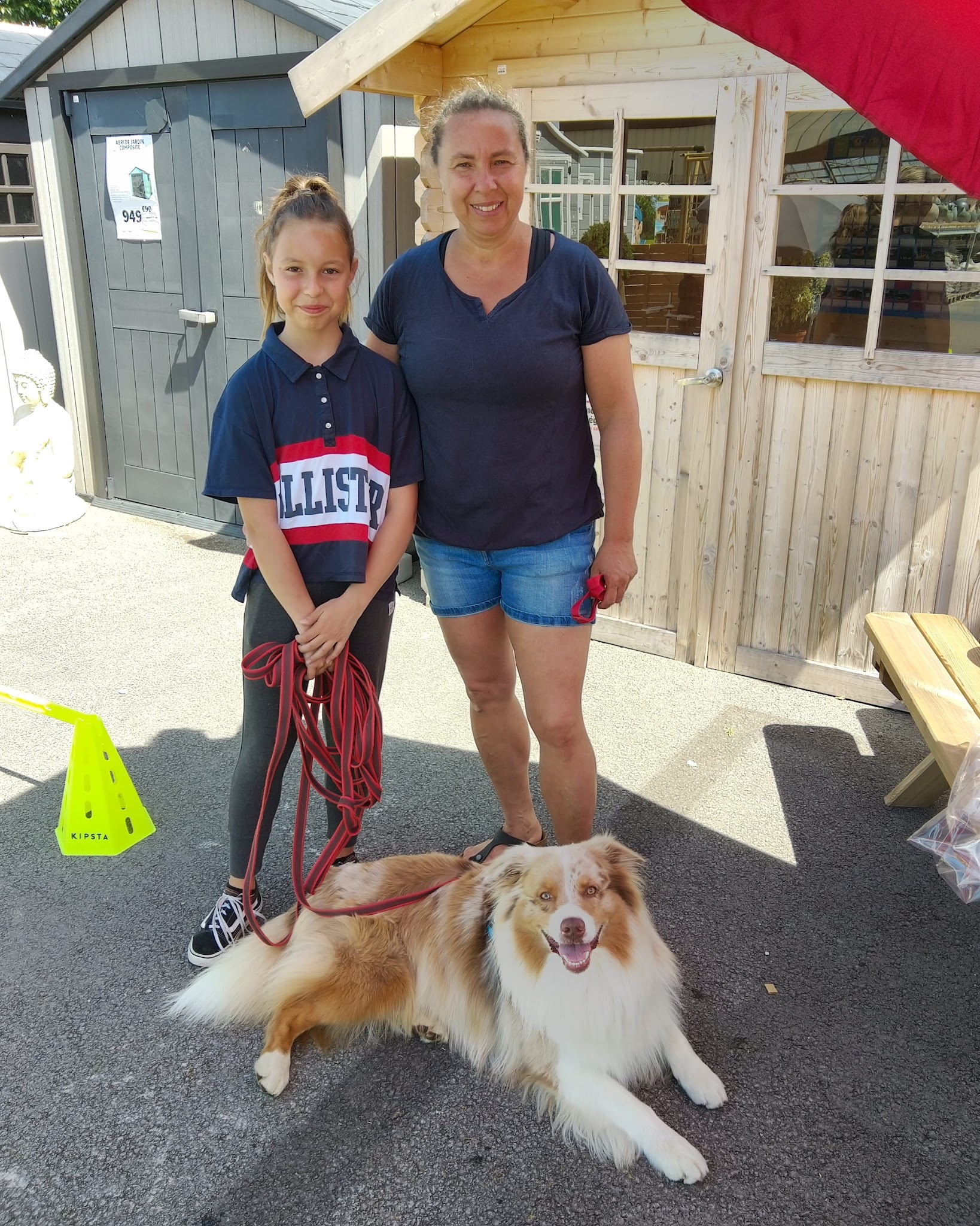 Wouf in the city, éducation canine. Pension, alimentation — photo