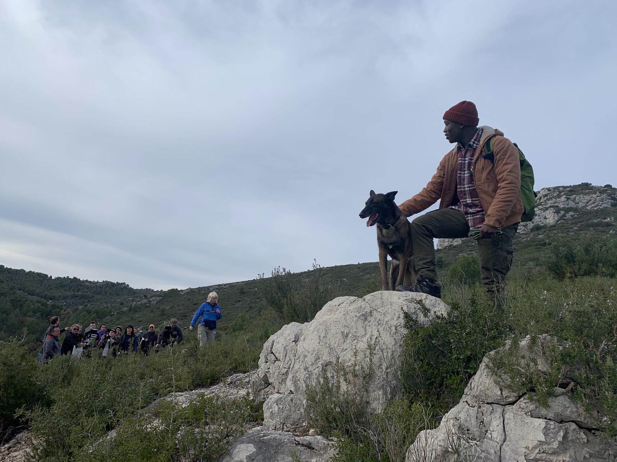 éducation canine MARSEILLE Dog land — photo