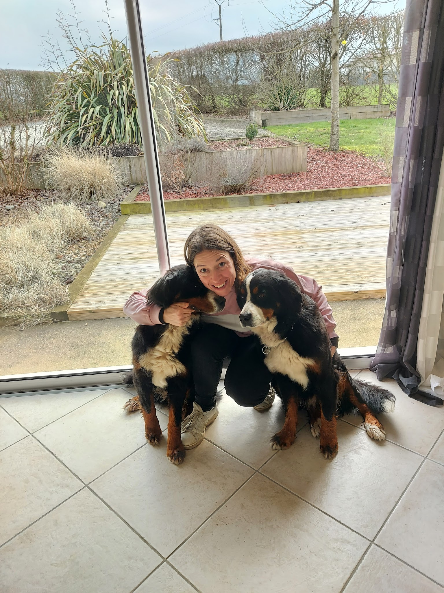 Pension Canine Le Nid' Ange' L — photo