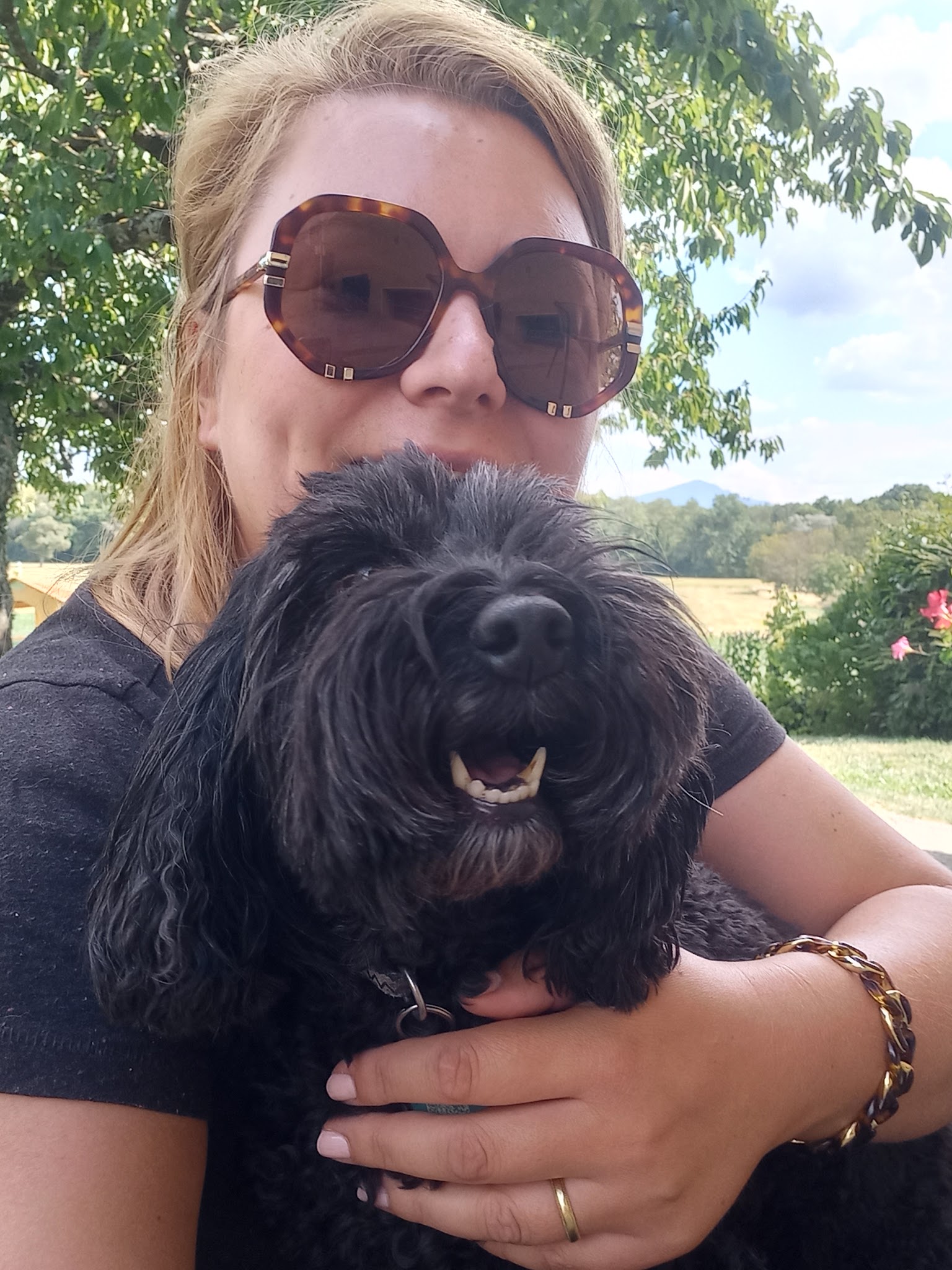 Les amis d'Agathe, pension canine Yvoire