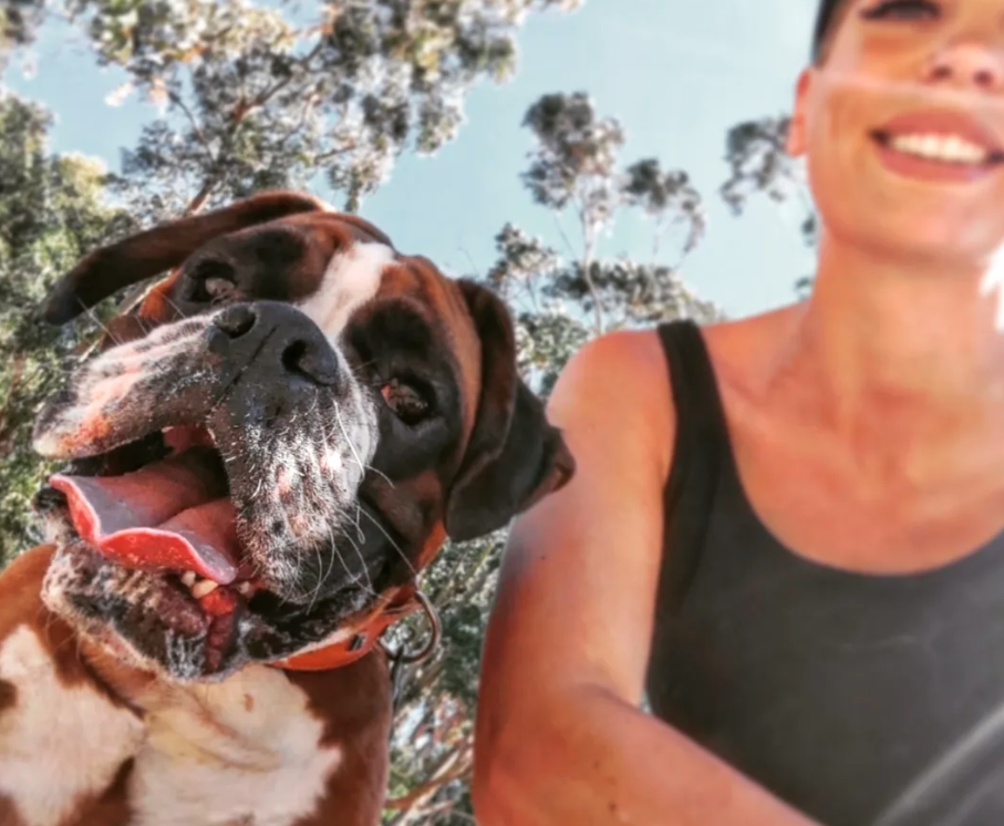 Dog Garden: Garderie Canine & Education 06 Antibes Vallauris Sophia Antipolis — photo
