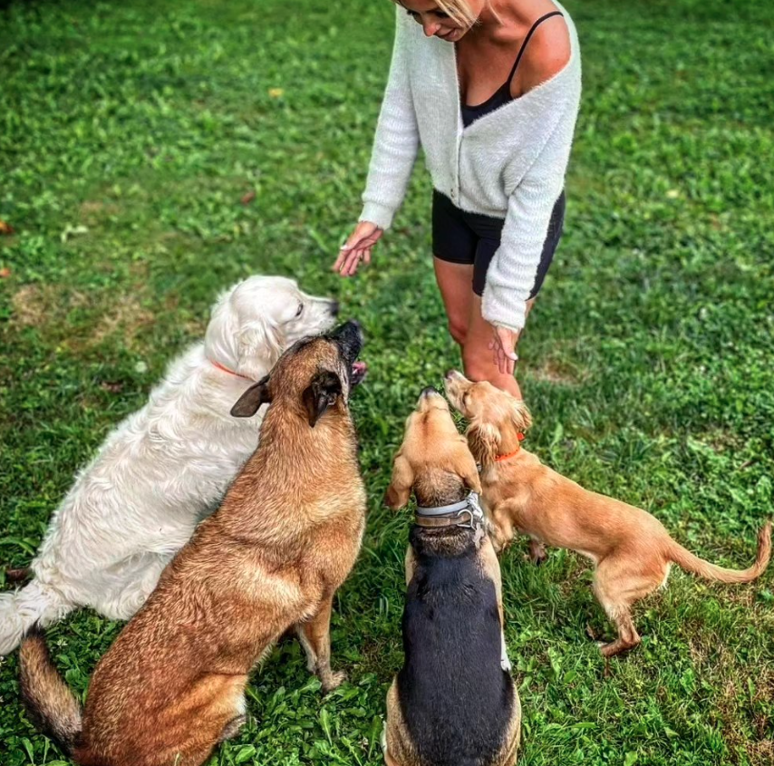 Dog Garden: Garderie Canine & Education 06 Antibes Vallauris Sophia Antipolis — photo