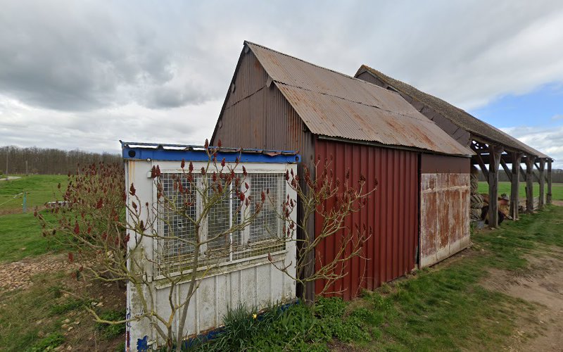 l'arche de Mimi
